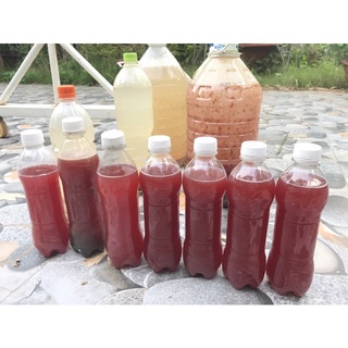 Men vi sinh PSB làm trong nước dùng cho hồ cá koi betta guppy- chai 400ml