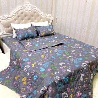 Chăn hè COTTON POLY trần bông 3 lớp (Được chọn mẫu)