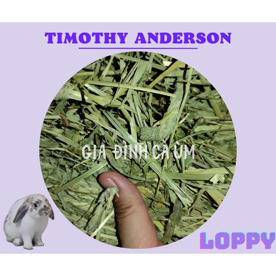 Cỏ Timothy loại thường dành cho thỏ/chuột lang