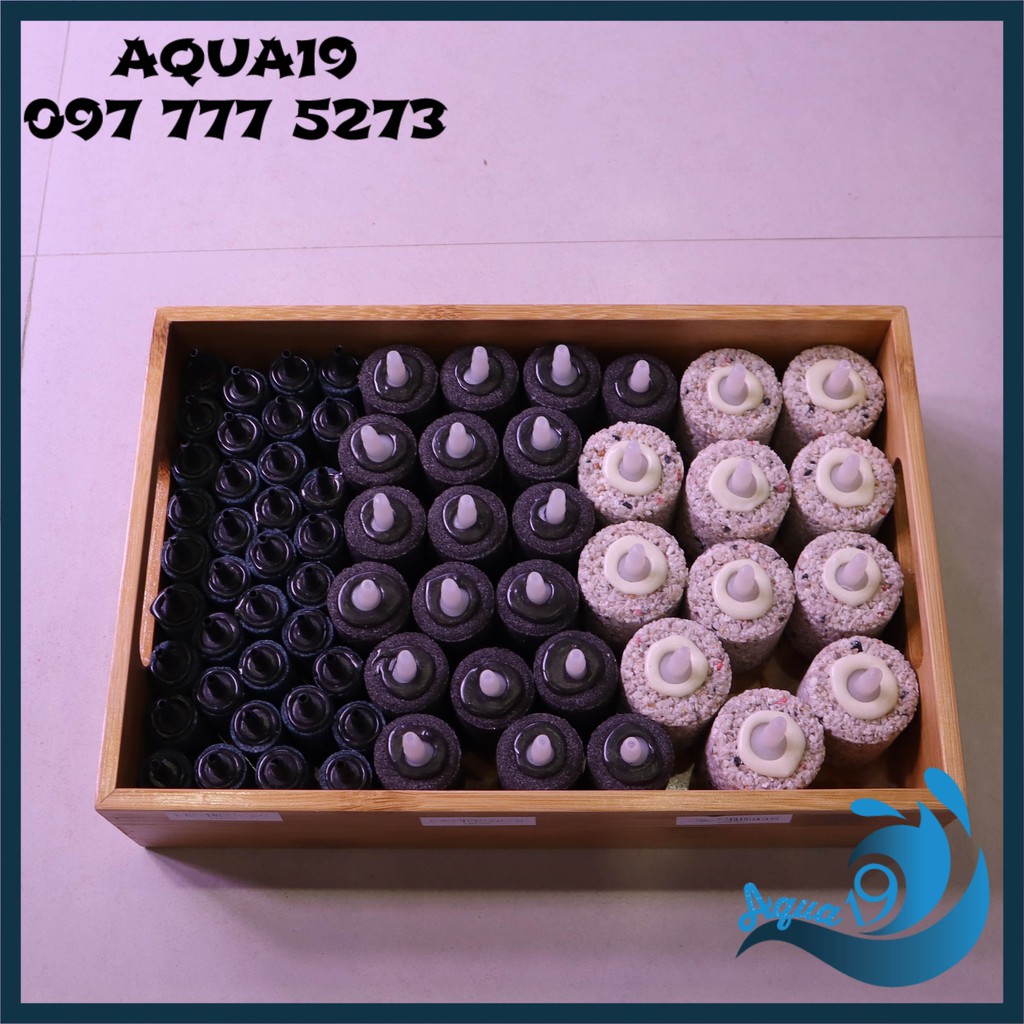Quả Sủi Oxy Nhiều Size