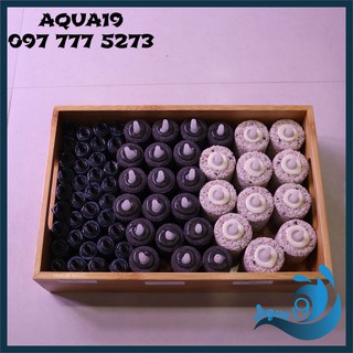 Quả sủi oxy nhiều size