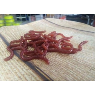 Mồi Giun Giả 3D 1 lọ