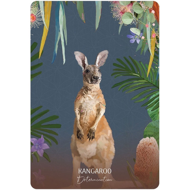 Bộ Bài Wild Wisdom Australia Oracle Cards (Mystic House Tarot Shop) - Bài Gốc Authentic Chính Hãng 100%