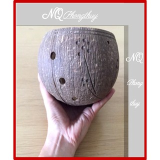 Gáo Dừa Trồng Lan Nghệ Thuật