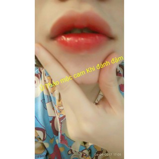 son ủ màu thảo mộc