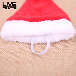Nón Noel xinh xắn cho thú cưng