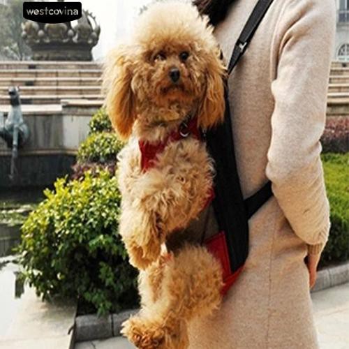 Balo Canvas Đeo Chéo Cho Thú Cưng