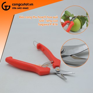 KÉO MŨI CONG SAGAWA P-916