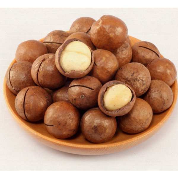 Hạt Macca Đăk Lăk