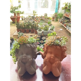 CHẬU ĐẤT NUNG THIÊN THẦN NHỎ