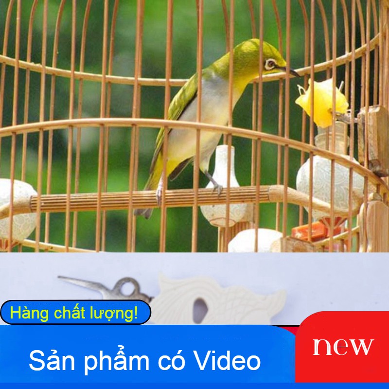 Xiên hoa quả cho chim