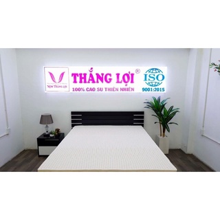 Nệm cao su non cao cấp thắng lợi
