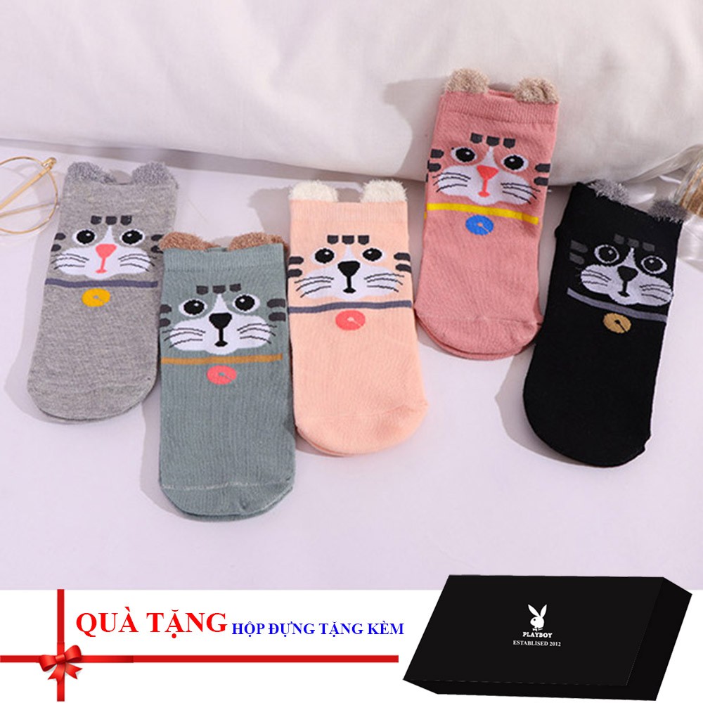 Combo 05 đôi tất / vớ nam/nữ cao cấp có hộp đựng (Loại 1)