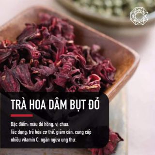 Hạt giống hoa atiso đỏ Thái Lan