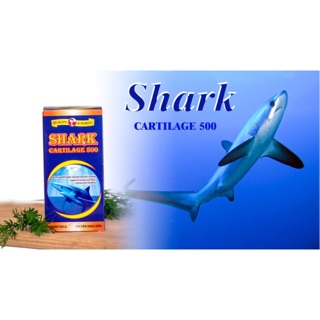 Hỗ trợ bảo vệ khớp -Bột sụn cá mập nguyên chất Shark Cartiligin 500,hộp100 viên