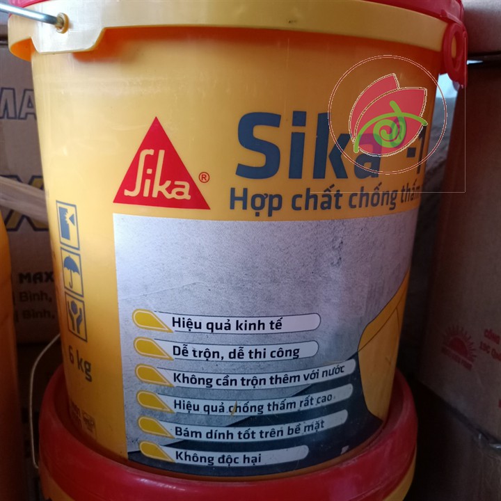 Sika 1F Chống thấm gốc Poly Vinyl Acetate 6Kg