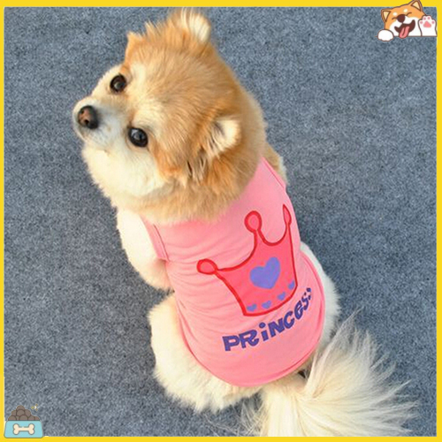 Áo thun in chữ kiểu dáng công chúa xinh xắn dành cho cún cưng