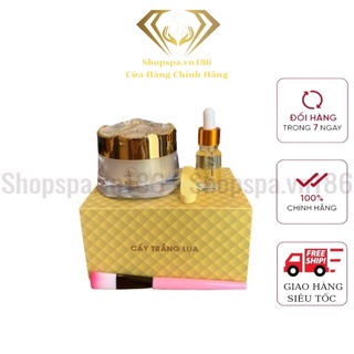 CẤY TRẮNG LỤA DÀNH CHO SPA