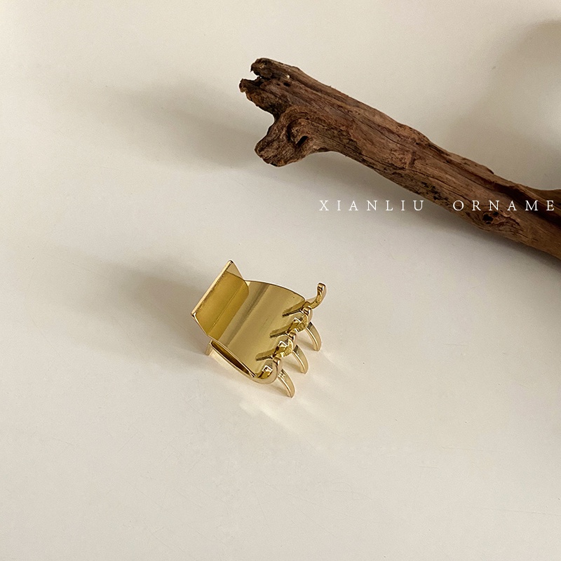 High ponytail hairpin Korean version temperament metal small shark clip hairpin net red new jewelry