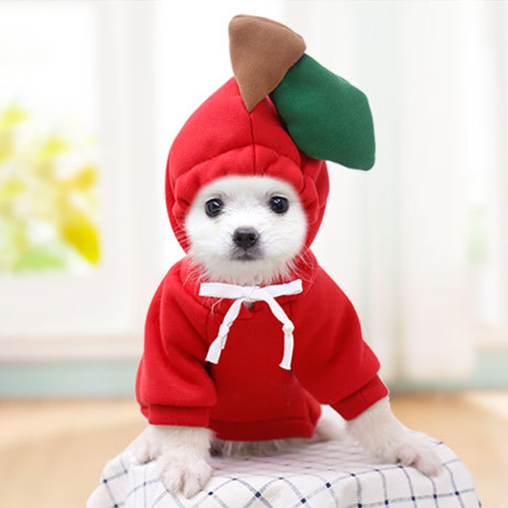 Áo sweater thiết kế màu trái cây dễ thương thời trang mùa đông cho thú cưng