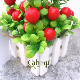 Cây Giả - Chậu Cây Chery Cắm Sẵn Đỏ Mọng ( Sẵn Lọ Hoa Và Hoa Trang Trí)