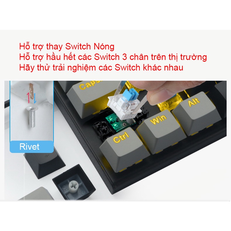 Bàn phím cơ E-Yooso Z11 HOTSWAP 61 Phím LED RGB , Thay Switch nóng