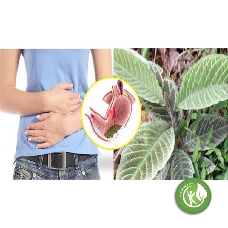 Lá khôi nhung 1 kg ( Khôi Tía) đảm bảo