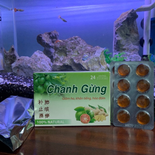 Viên Ngậm Chanh Gừng giảm ho khản tiếng hoá đờm