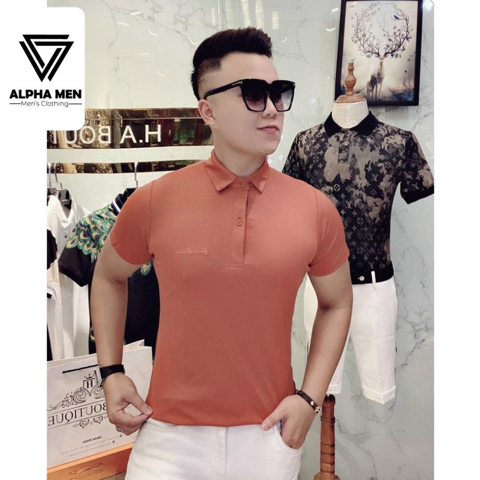 ⭐️SIÊU PHẨM⭐️Áo POLO Nam Cổ Bẻ Vải Thun Mịn Mát Lạnh Nhiều Màu - Áo Thun Nam Cao Cấp chất mát mùa hè M6022 | BigBuy360 - bigbuy360.vn