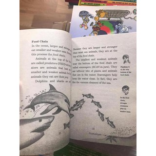Bộ nhập 40q - MAGIC TREE HOUSE - FACT TRACKER