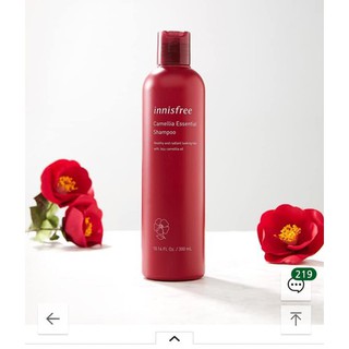 Dầu gội dưỡng tóc hương hoa trà innisfree Camellia Essential Shampoo 300ml