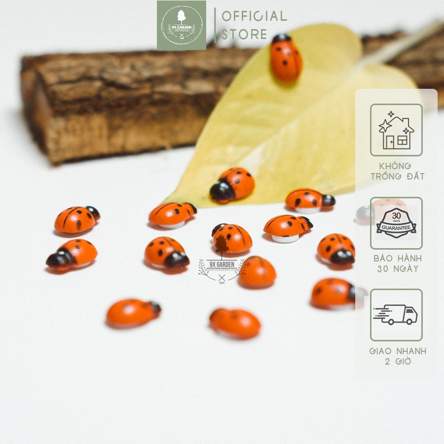 Bọ Cánh Cam - Ladybug - Phụ Kiện Trang Trí Xinh Xắn Cho Cây Cảnh Để Bàn - 9X Garden