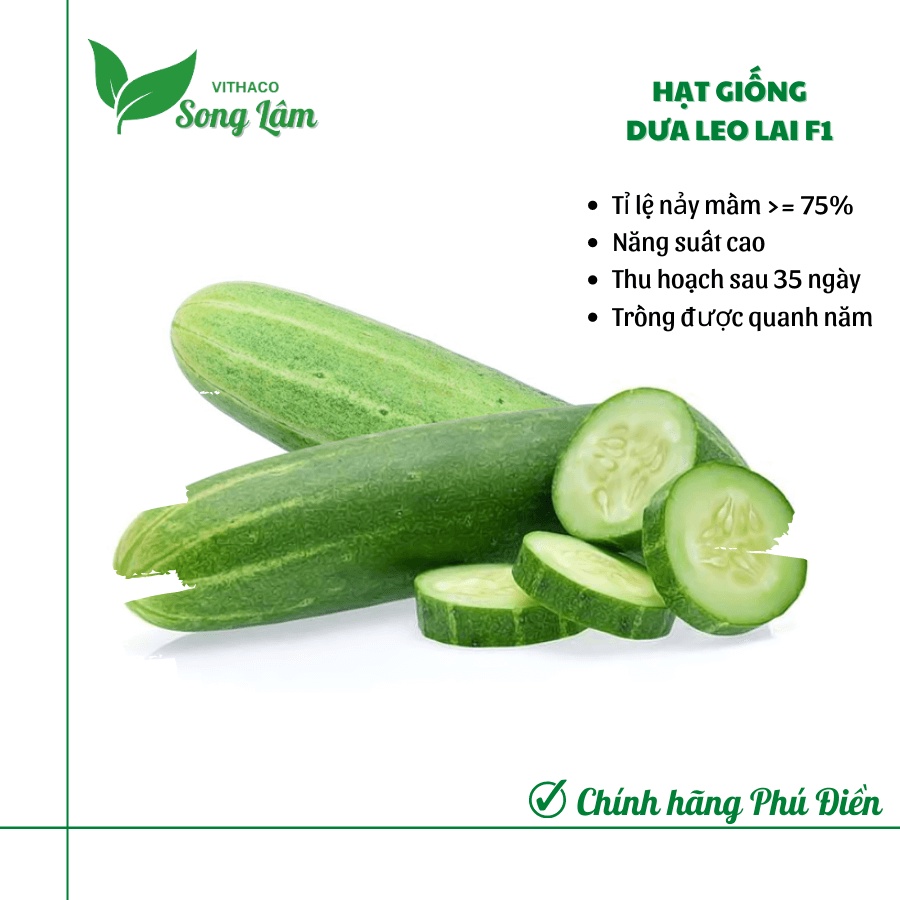 Gói 1gr Hạt giống Dưa Leo (Dưa Chuột) Lai F1 sai quả, chịu nhiệt, trồng quanh năm