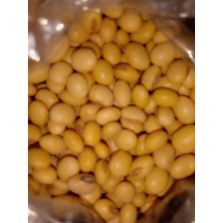 Đậu Khô các loại 300gr