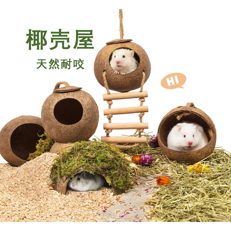 TỔNG HỢP dạng nhà và đồ chơi set theo kiểu thiên nhiên cho hamster