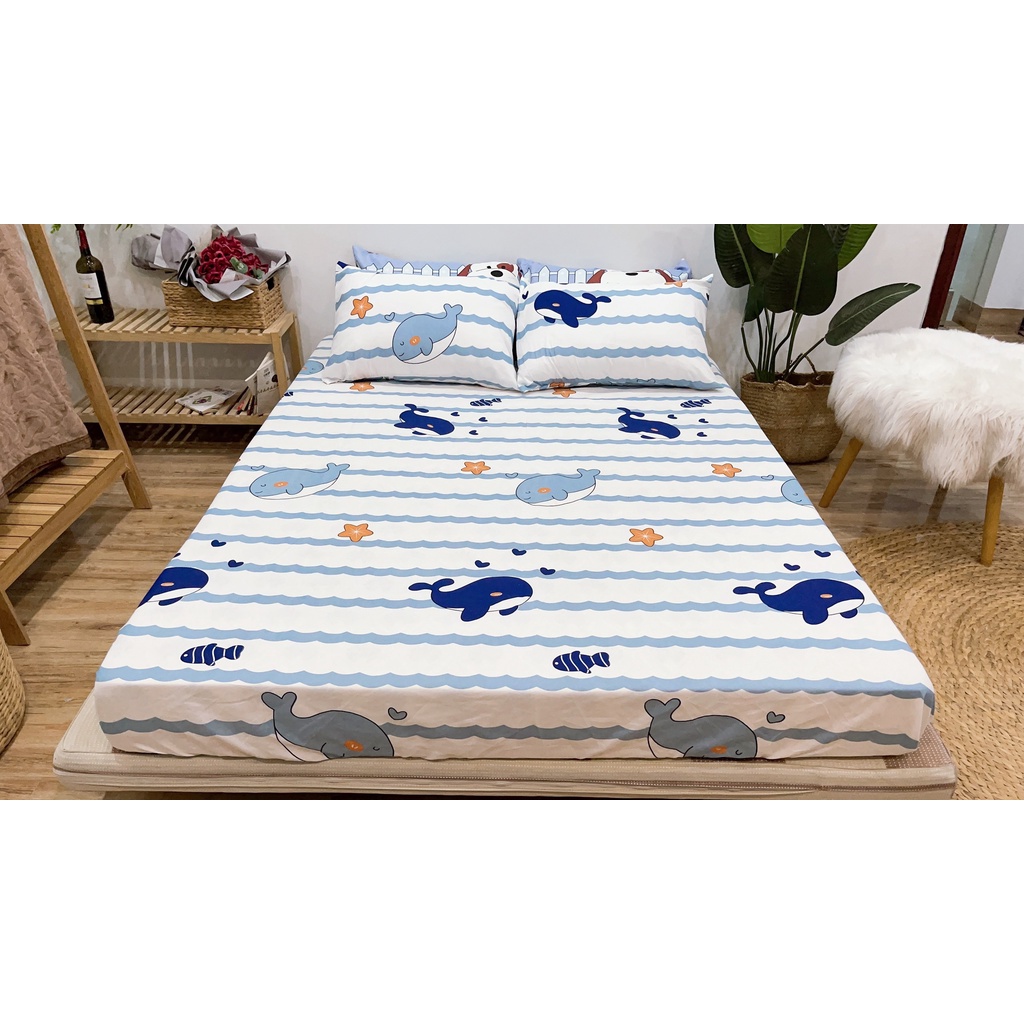 SET ga giường và vỏ gối nằm chất cotton mềm mịn thoáng mát nhiều mẫu lựa chọn | BigBuy360 - bigbuy360.vn