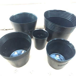 (Saleoff) Combo 5 Chậu nhựa trồng cây hoa, chậu trồng lan (chọn size C5->C10) chất đẹp.