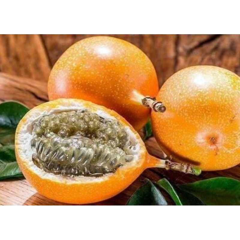 Chanh dây colombia trái vàng.