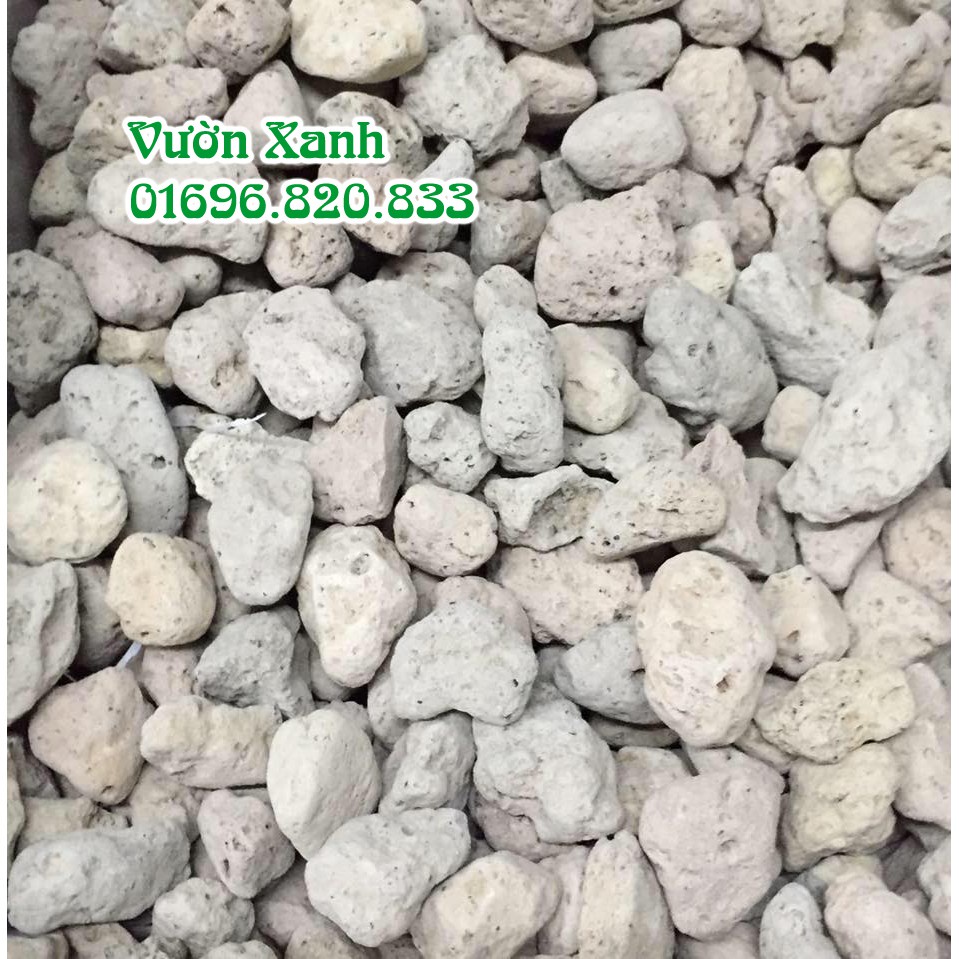 (500gr) Đá bọt (Đá núi lửa) nhẹ, thoáng, giữ ẩm rất tốt cho lan size 1-2 cm