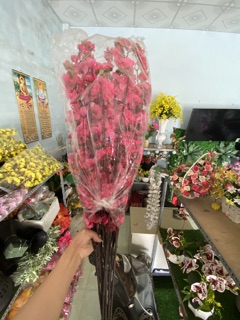 Cành Hoa Anh Đào