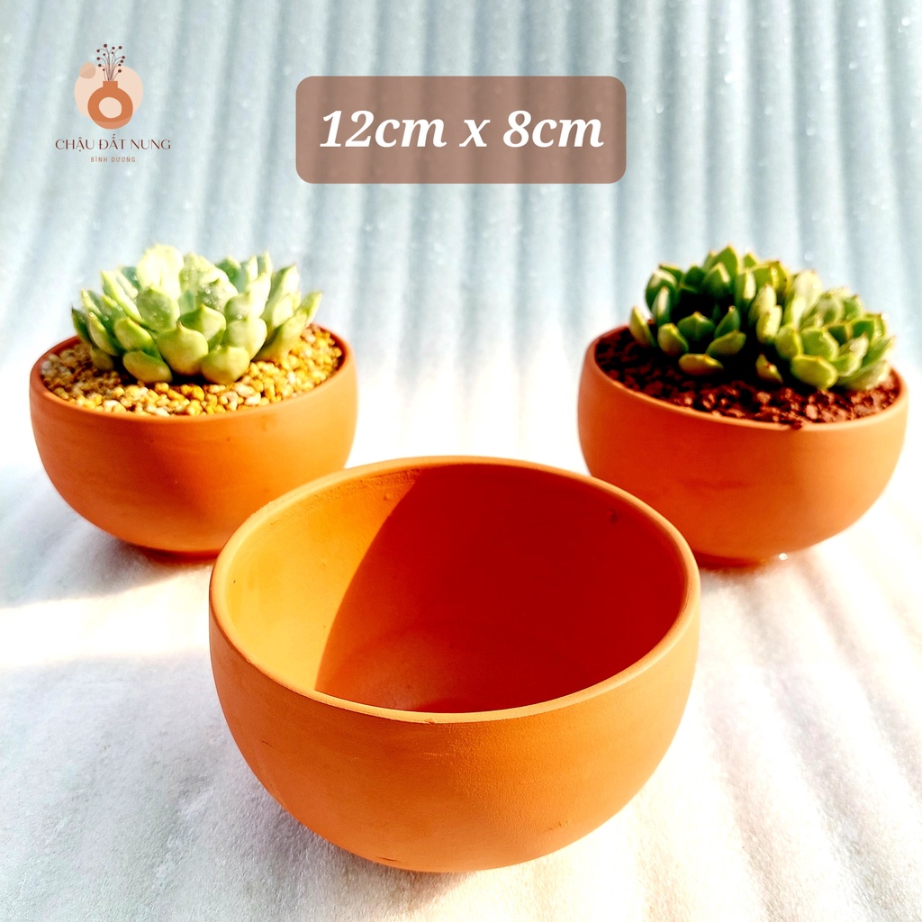 Chậu đất nung, Chậu sen đá - Tô 128, miệng 12cm, chiều cao 8cm