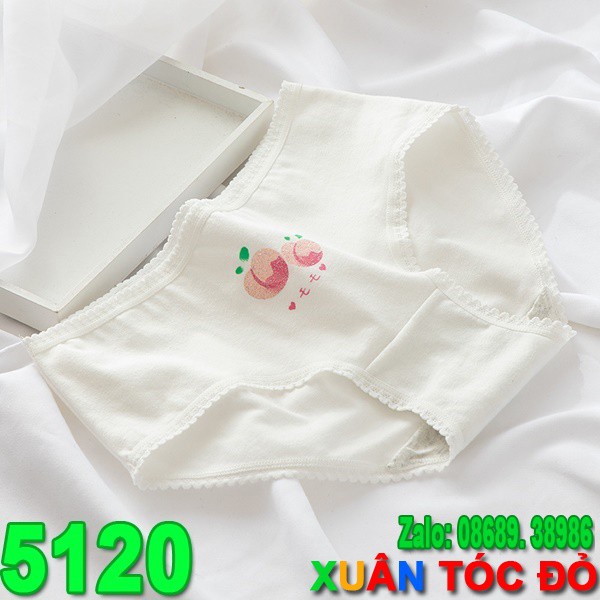  SỈ ZALO RẺ HƠN NHIỀU_ Quần Lót 5 Kiểu Đào Hồng Cực Mịn Cực Cute 5120 | BigBuy360 - bigbuy360.vn