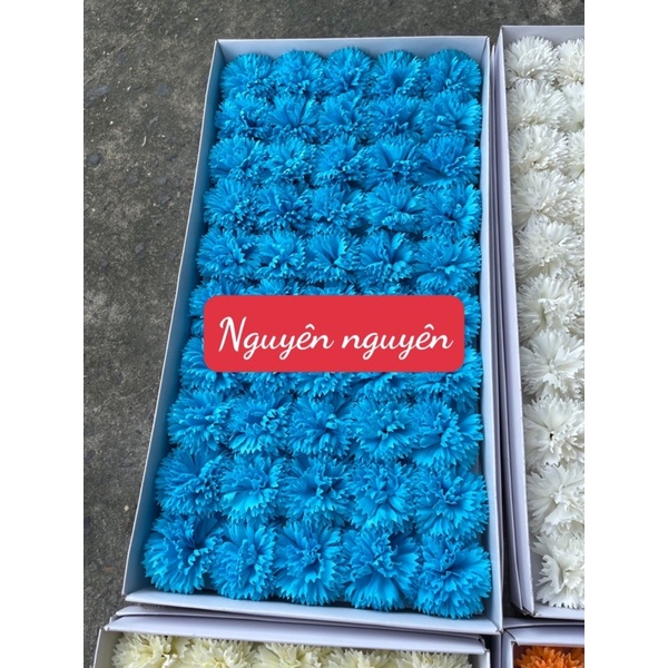 Cẩm chướng xù sáp hộp 50 bông