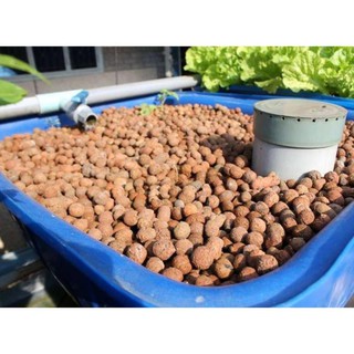 VIÊN ĐẤT NUNG (SỎI NHẸ) SFARM 5DM3 (KT 10-20MM)