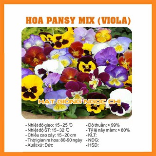 Hạt Giống Hoa Pansy Mix - 100 Hạt