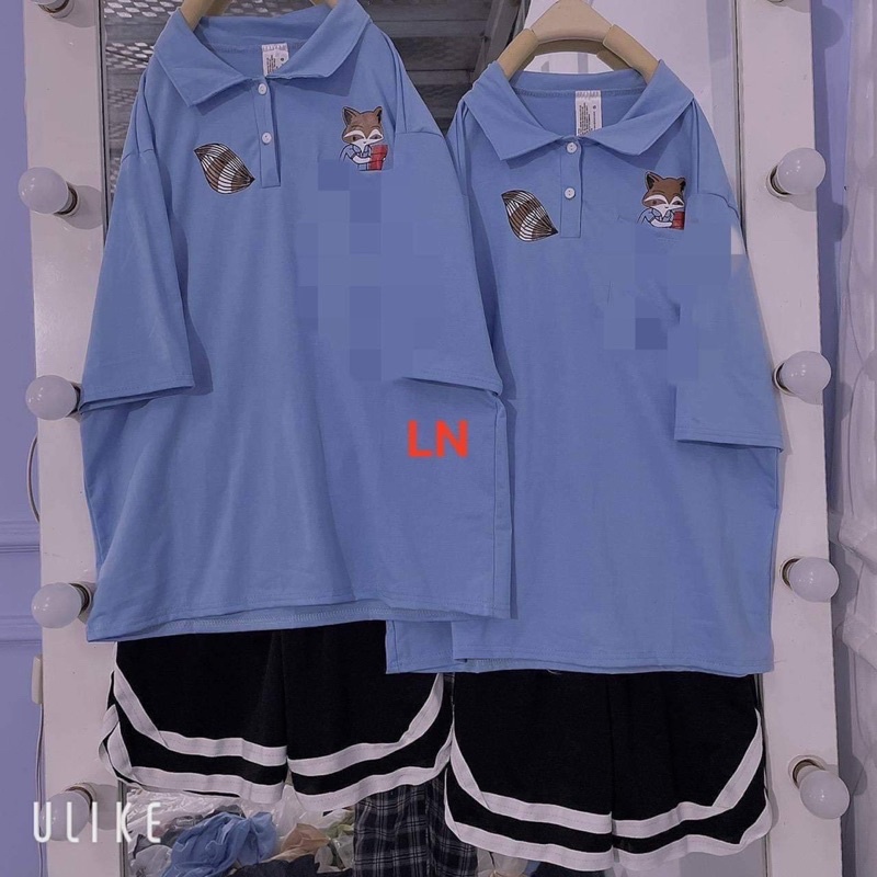 Sét áo polo cáo đuôi + quần đùi V TH6