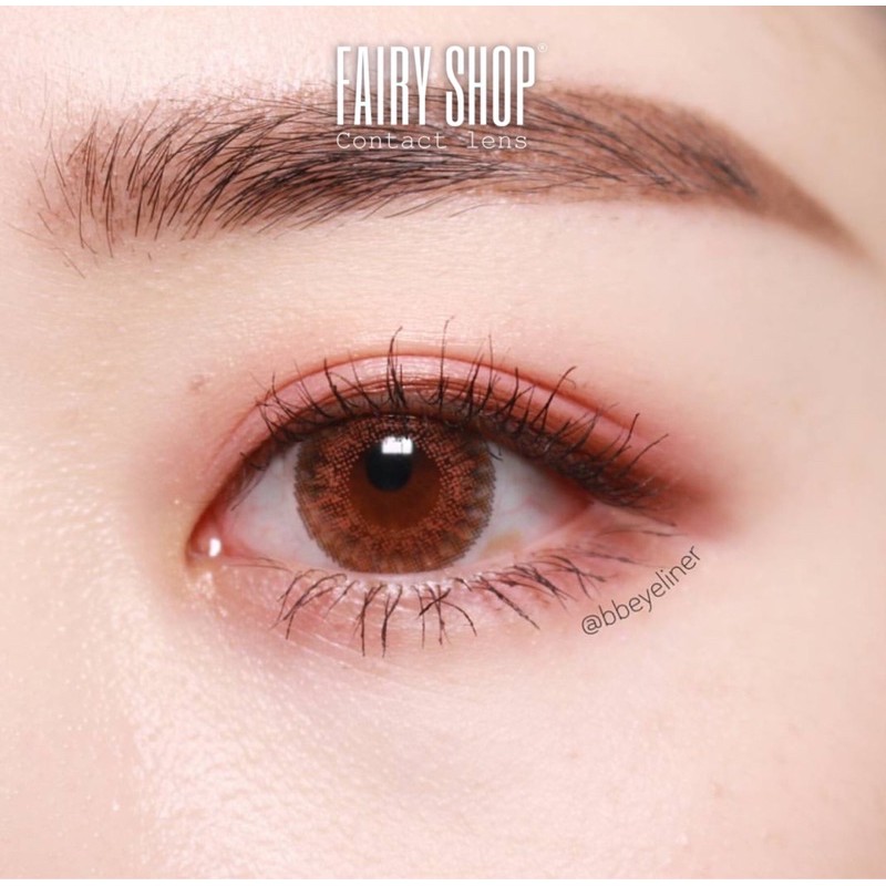 Kính Áp tròng Wannabe Brown 14.2MM - Kính Áp Tròng FAIRY SHOP CONTACT LENS độ 0 đến 6