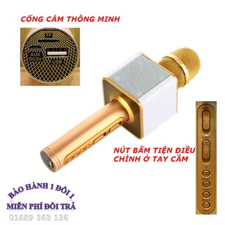 Mic hát karaoke chính hẵng
