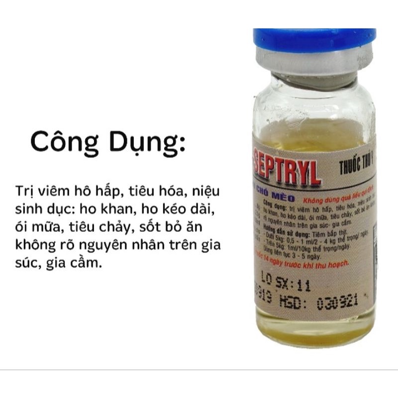 Linco septryl 10ml thức ăn cho chó mèo hsd 17/10/2024