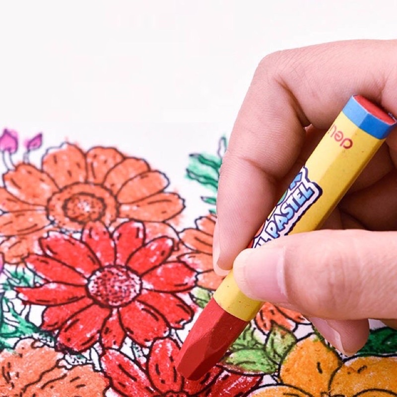 Bút sáp dầu hữu cơ Deli 12/18/24 màu Color Oil Pastel